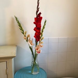 Meet your Posher, Mae